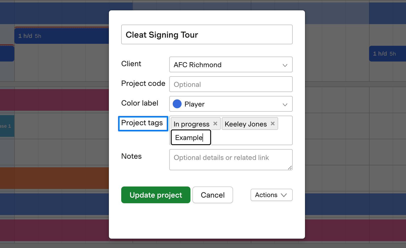 Screenshot showing how to assign project tags